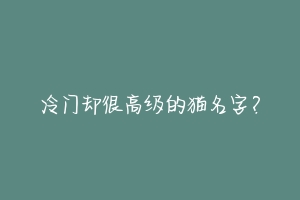 冷门却很高级的猫名字?
