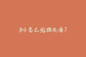 84怎么给猫洗澡？