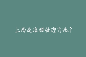 上海流浪猫处理方法?