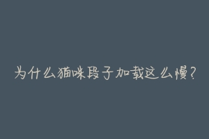为什么猫咪段子加载这么慢?