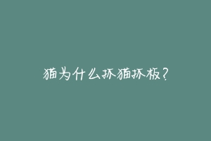 猫为什么抓猫抓板?