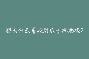 猫为什么喜欢用爪子抓地板?