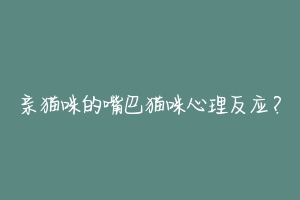 亲猫咪的嘴巴猫咪心理反应?
