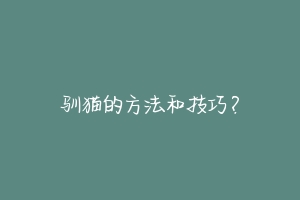 驯猫的方法和技巧?