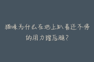 猫咪为什么在地上趴着还不停的用力蹬后腿?