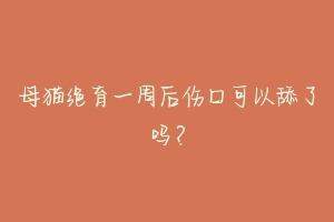 母猫绝育一周后伤口可以舔了吗?
