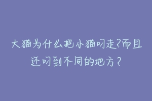 大猫为什么把小猫叼走?而且还叼到不同的地方?