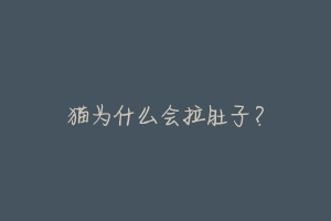 猫为什么会拉肚子?