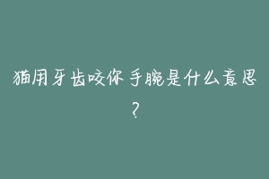 猫用牙齿咬你手腕是什么意思?