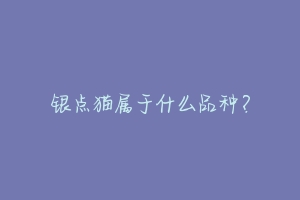 银点猫属于什么品种?