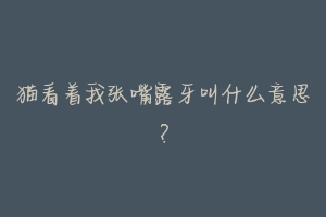 猫看着我张嘴露牙叫什么意思？