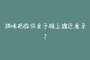 猫咪把脸往桌子腿上蹭还磨牙?