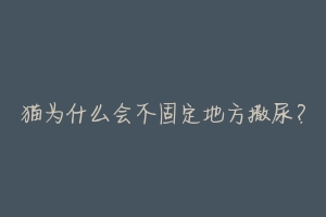 猫为什么会不固定地方撒尿?