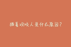 猫喜欢咬人是什么原因?