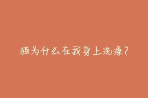 猫为什么在我身上洗澡?