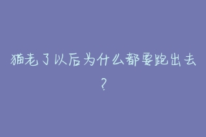 猫老了以后为什么都要跑出去?