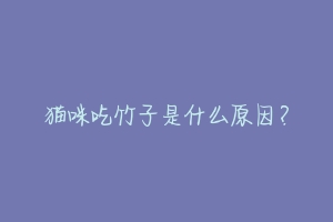 猫咪吃竹子是什么原因?