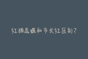 红猫蕊蝶和市长红区别?