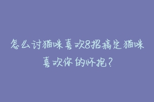 怎么讨猫咪喜欢8招搞定猫咪喜欢你的怀抱?