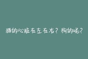 猫的心脏在左在右?狗的呢?