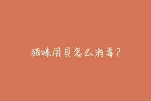 猫咪用具怎么消毒?