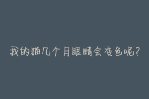 我的猫几个月眼睛会变色呢?