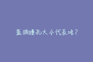 蓝猫瞳孔大小代表啥?