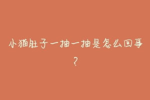 小猫肚子一抽一抽是怎么回事?