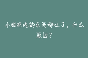 小猫把吃的东西都吐了,什么原因?