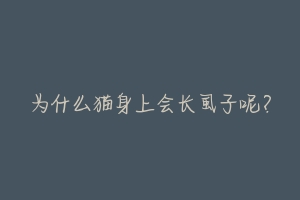 为什么猫身上会长虱子呢?