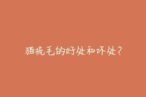 猫梳毛的好处和坏处？
