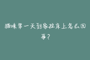 猫咪第一天到家拉床上怎么回事?