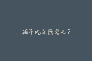 猫不吃东西怎么?