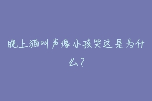 晚上猫叫声像小孩哭这是为什么?