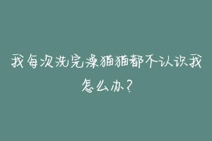 我每次洗完澡猫猫都不认识我怎么办?