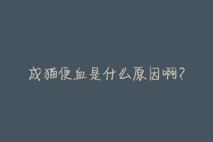 成猫便血是什么原因啊?