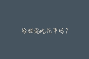 家猫能吃花甲吗?