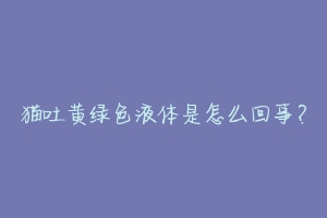 猫吐黄绿色液体是怎么回事?