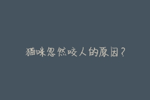 猫咪忽然咬人的原因?