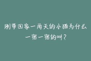 刚带回家一两天的小猫为什么一宿一宿的叫?