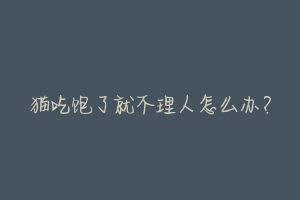 猫吃饱了就不理人怎么办?