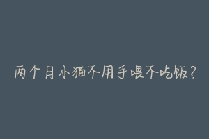 两个月小猫不用手喂不吃饭?