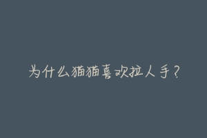 为什么猫猫喜欢拉人手?