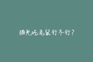 猫光吃老鼠行不行?