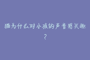 猫为什么对小孩的声音感兴趣?