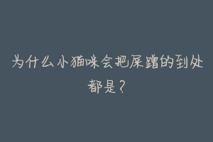 为什么小猫咪会把屎蹭的到处都是?