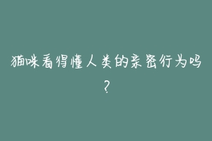 猫咪看得懂人类的亲密行为吗?