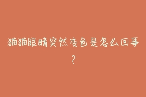 猫猫眼睛突然变色是怎么回事?