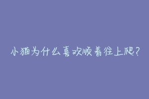 小猫为什么喜欢顺着往上爬?