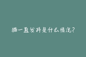 猫一直发抖是什么情况?